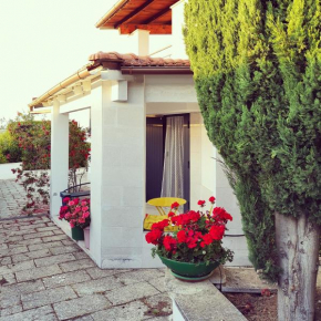 Camere a Sud